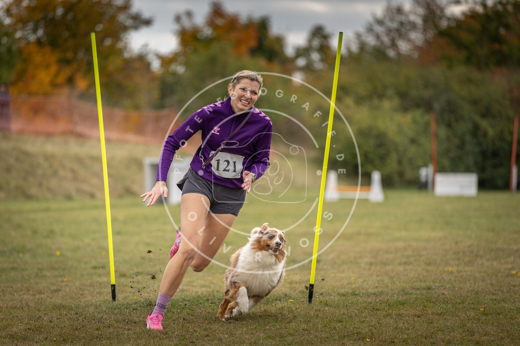 Pfotenfotografie_DV3A7666 | Hundefotografie, Tierfotograf, Pfotenfotografie, Fotoshooting Hund, Hunde Portrait, Hundesport, Hundeportraits, Heideshooting, Hunde, Sportfotograf, Hundefotograf, Turnierhundsport, THS,  - Realisiert mit Pictrs.com