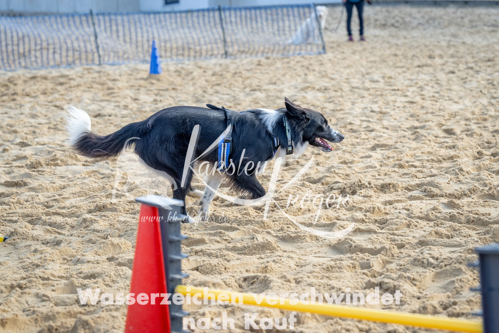 0941_ZZ92717 | kk-dogfotos