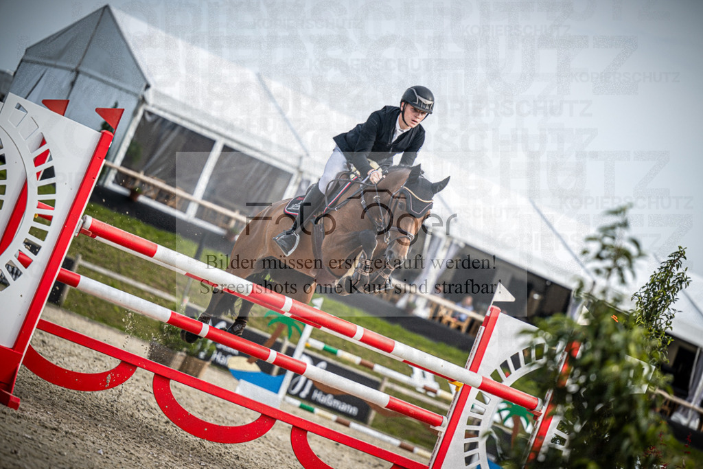 DOS_1911 | Entdecke hochwertige Reitturnierfotos von Foto Oger. Professionell, emotional und authentisch – jetzt Lieblingsmomente im Shop bestellen.Deutschlandweite Turnierfotografie. - Realisiert mit Pictrs.com