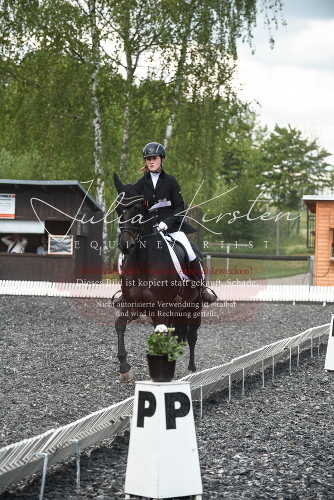DSC_9109 | Pferde- und Turnierfotografie in Westsachsen. Pferdeportraits, Auftragszeichnungen und intuitive Kunst.