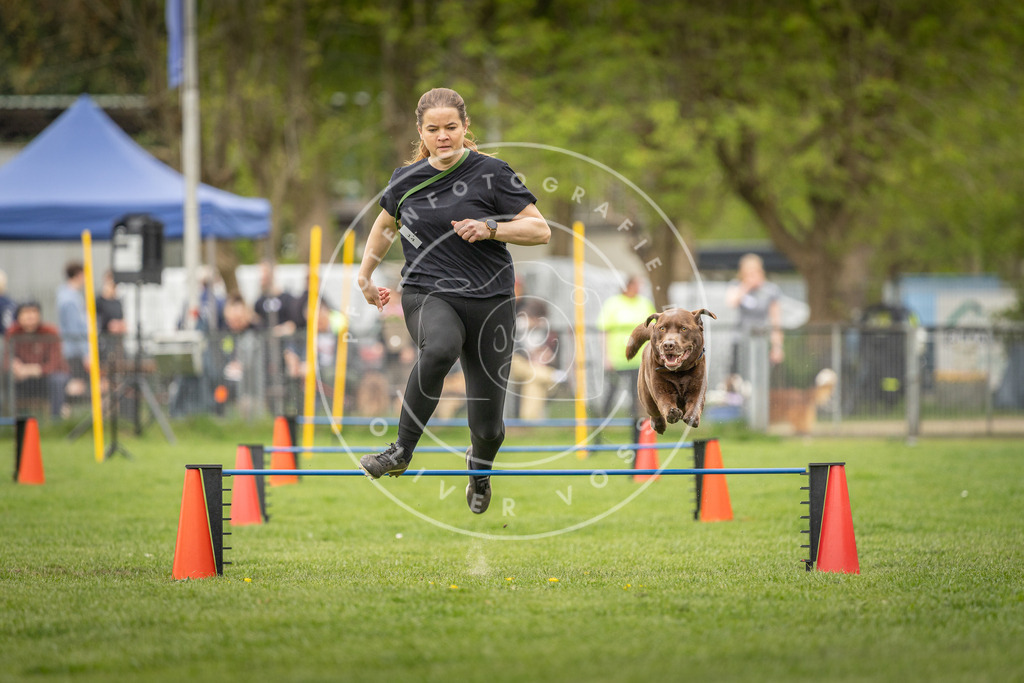 Pfotenfotografie_DV3A0452 | Hundefotografie, Tierfotograf, Pfotenfotografie, Fotoshooting Hund, Hunde Portrait, Hundesport, Hundeportraits, Heideshooting, Hunde, Sportfotograf, Hundefotograf, Turnierhundsport, THS,  - Realisiert mit Pictrs.com