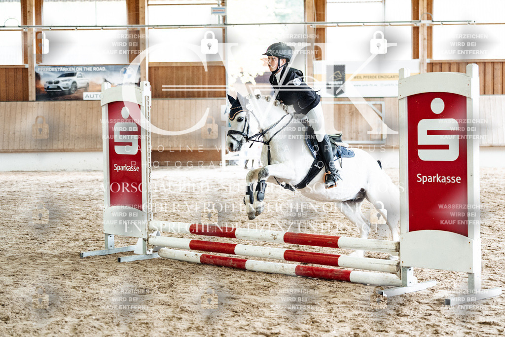 CK902561 | Turnierfotografie Pferdefotografie Trier Rheinland-Pfalz Pferdesport Reitsport Tierfotografie Sportfotografie Pferdevideo Pferdevideografie Equestrianvideography equestrianphotography  - Realisiert mit Pictrs.com