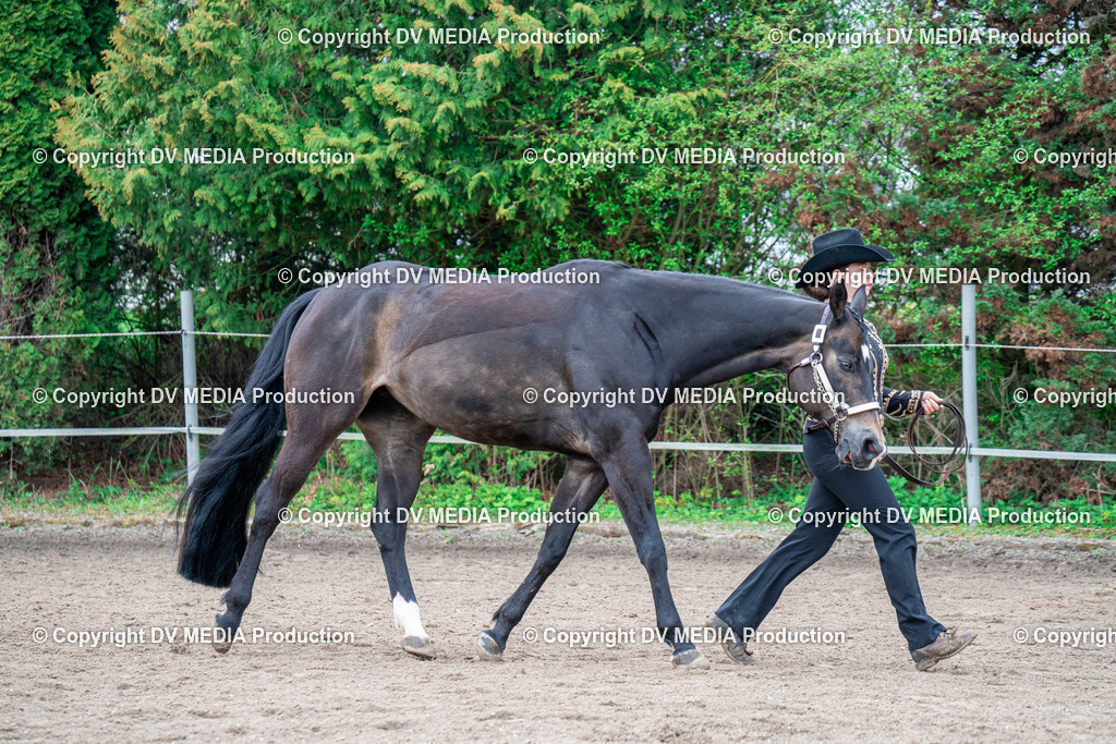 BA300208 | dv-media-shop - Realisiert mit Pictrs.com