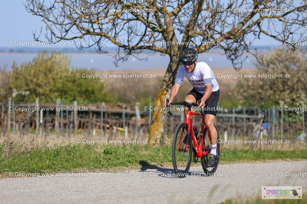 IMG_9862 | @sportshot_your_pictrs #yourpictures#roadtowm2029 #nrm #neusiedlerseeradmarathon #neusiedlersee #neusiedlerseetourismus #burgenland #mörbisch #nrm26 #burgenlandtourismus #voglundco #poweredbyburgenlandtourismus #radsport #rad #marathon #ucigranfondo #visitburgenland #ucigranfondoworldseries