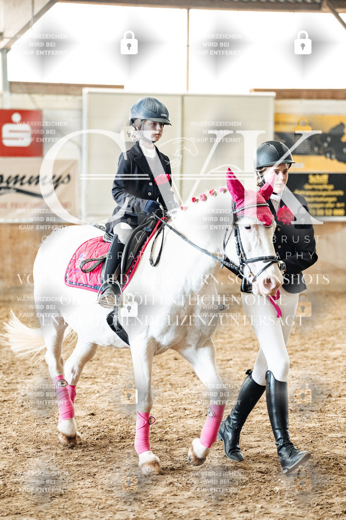 CK906152 | Turnierfotografie Pferdefotografie Trier Rheinland-Pfalz Pferdesport Reitsport Tierfotografie Sportfotografie Pferdevideo Pferdevideografie Equestrianvideography equestrianphotography  - Realized with Pictrs.com