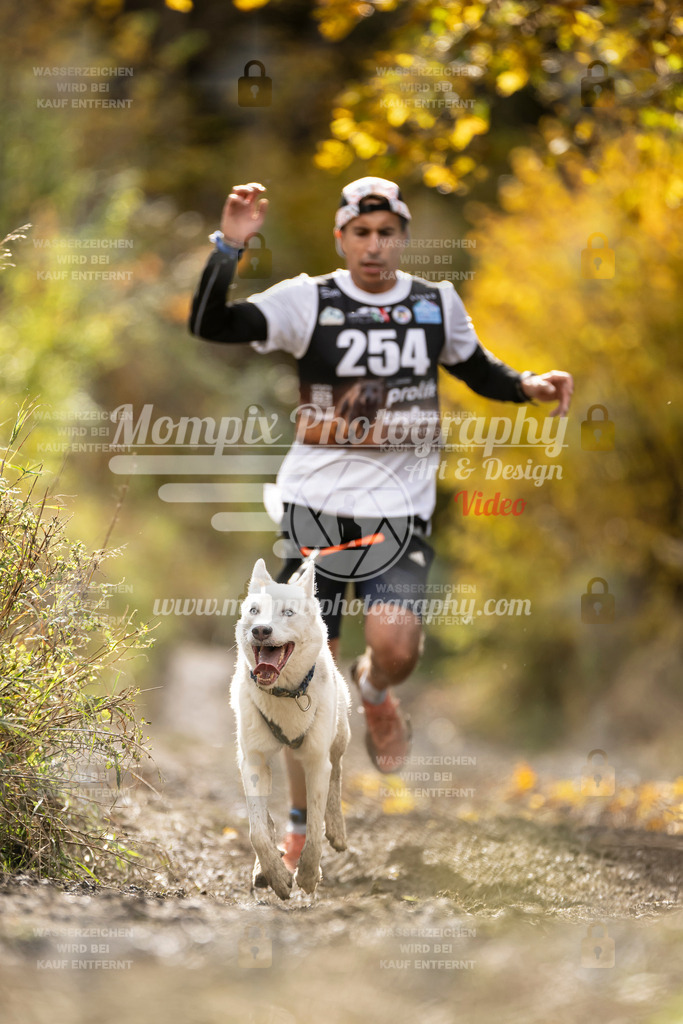 MompixPhotography_ICF_WC_2024_SA_Run_-51 | PayLife