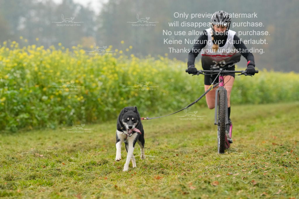 Visbeck_Sa_Scooter_Hc-88 | stephaniefillaphotographie - Realisiert mit Pictrs.com