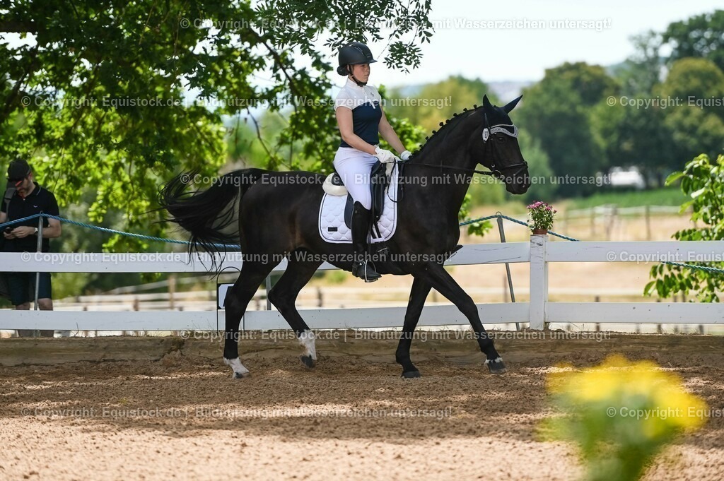 20230715_09_Dressur-WB_0215 | equistock