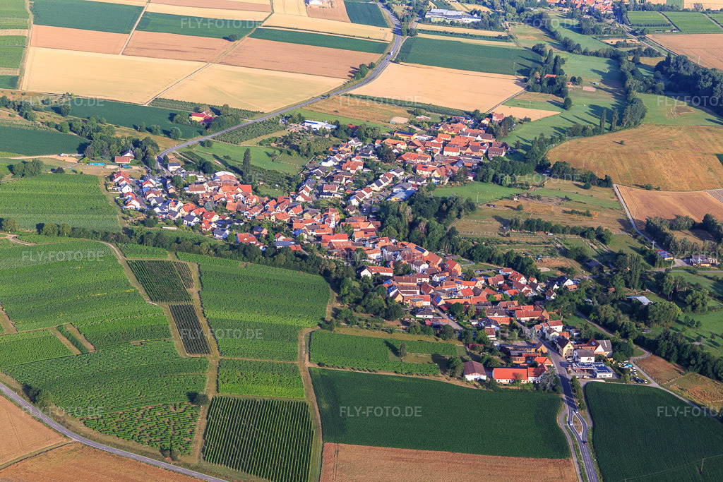 Luftbild: Ortsansicht von Osten in Oberhausen im Bundesland Rheinland-Pfalz in Deutschland. Foto: IMG_120993.jpg vom 04.07.2020 durch Werner Riehm/FLY-FOTO.de