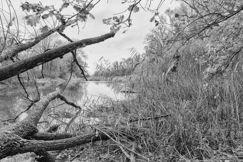 2021_11_22 BRM04454 | bridgeman - Realisiert mit Pictrs.com