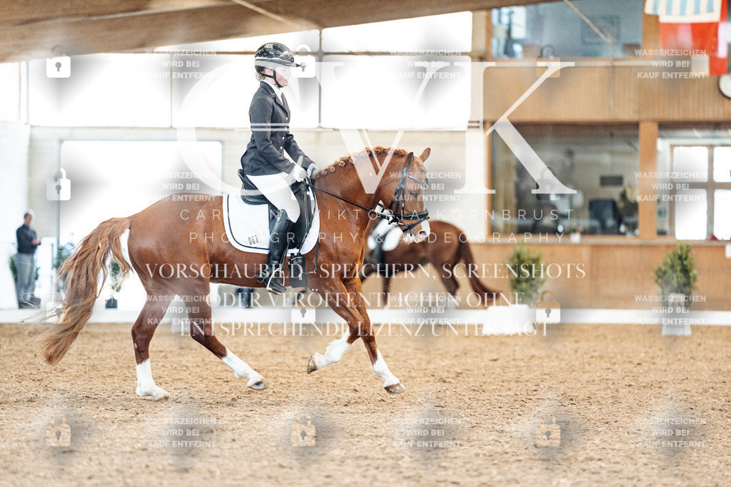 CK908962 | Turnierfotografie Pferdefotografie Trier Rheinland-Pfalz Pferdesport Reitsport Tierfotografie Sportfotografie Pferdevideo Pferdevideografie Equestrianvideography equestrianphotography  - Realisiert mit Pictrs.com