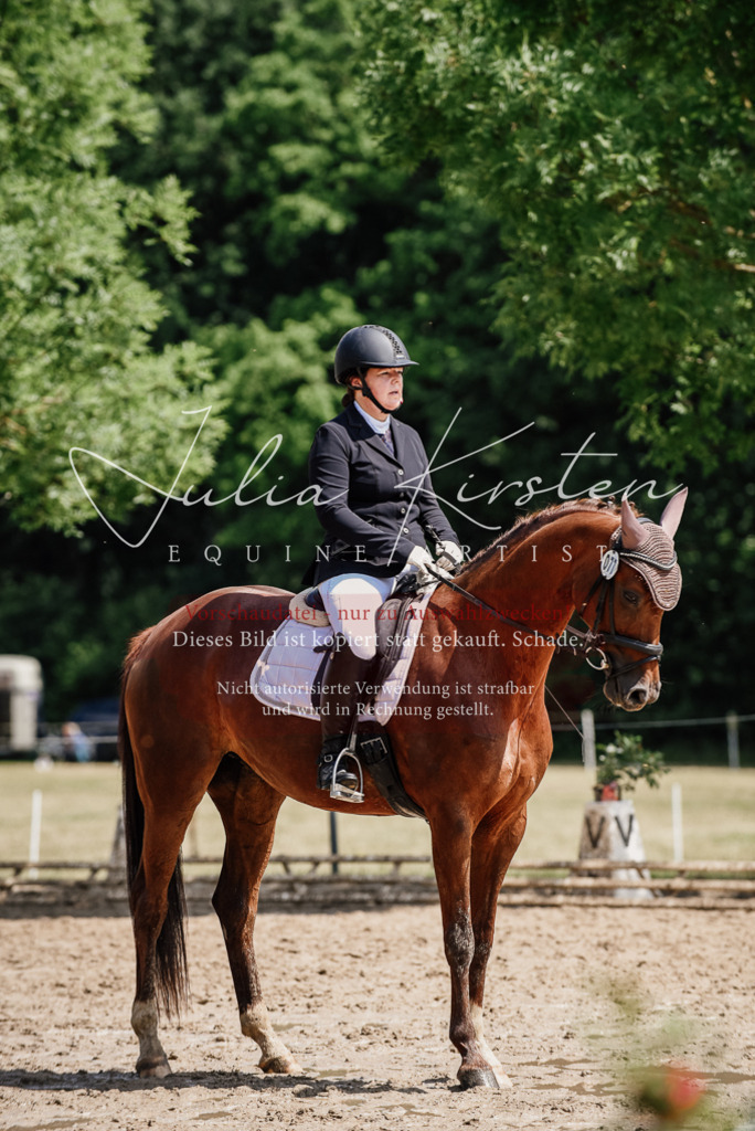 DSC_1274 | Pferde- und Turnierfotografie in Westsachsen. Pferdeportraits, Auftragszeichnungen und intuitive Kunst.