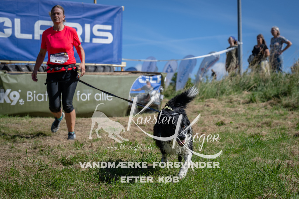 1107_ZZ90693 | kk-dogfotos
