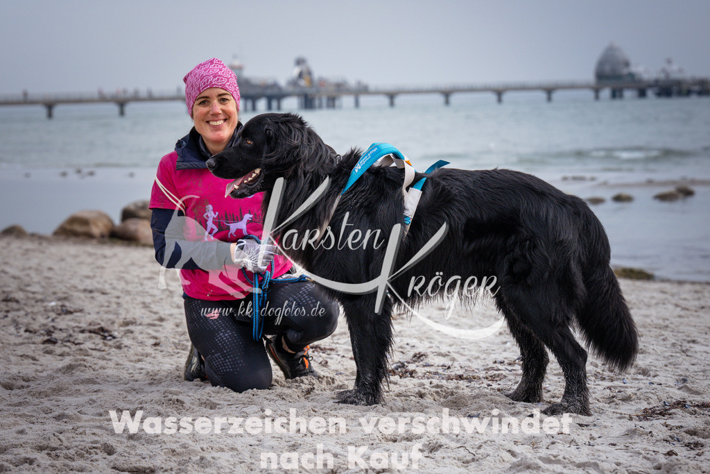 1253_ZZ96609 | kk-dogfotos