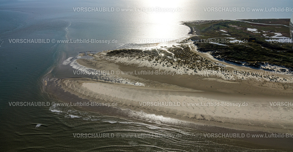 Aurich251105656Baltrum | Luftbild, östlicher Teil der Ostfriesischen Insel Baltrum, Sandstrand, Feuchtwiesen und Baltrumer Dünen, Baltrum, Norddeutschland, Ostfriesland, Niedersachsen, Deutschland