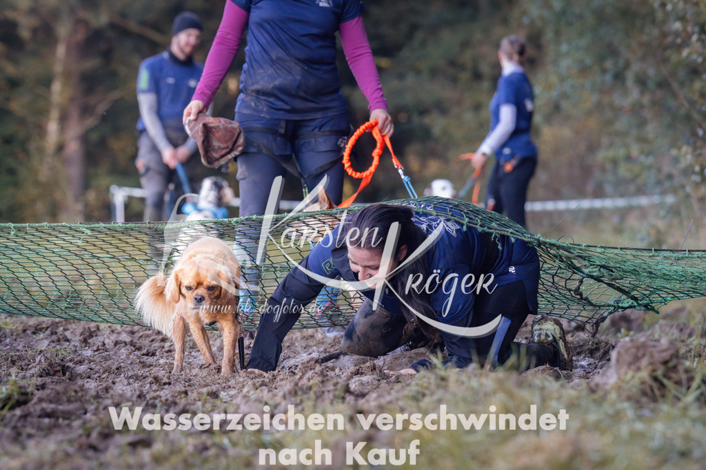 1047_ZZ92558 | kk-dogfotos
