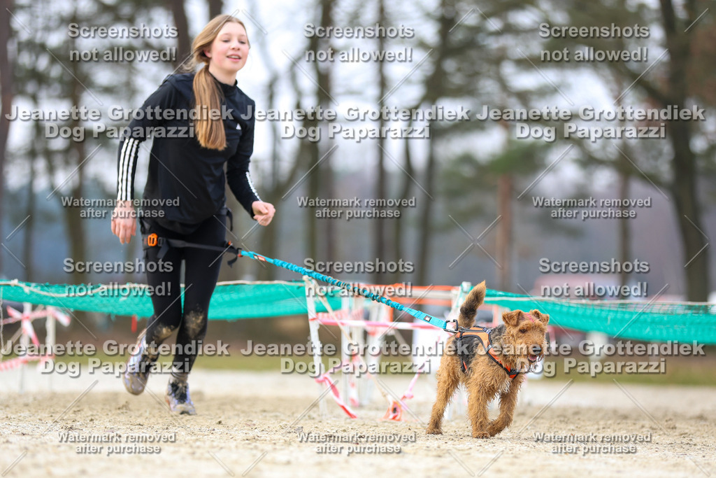 Dog Paparazzi - Strongdog North Mrz26-4050 | Dog Paparazzi Jeanette Grottendiek Fotografie & Videografie - Realisiert mit Pictrs.com
