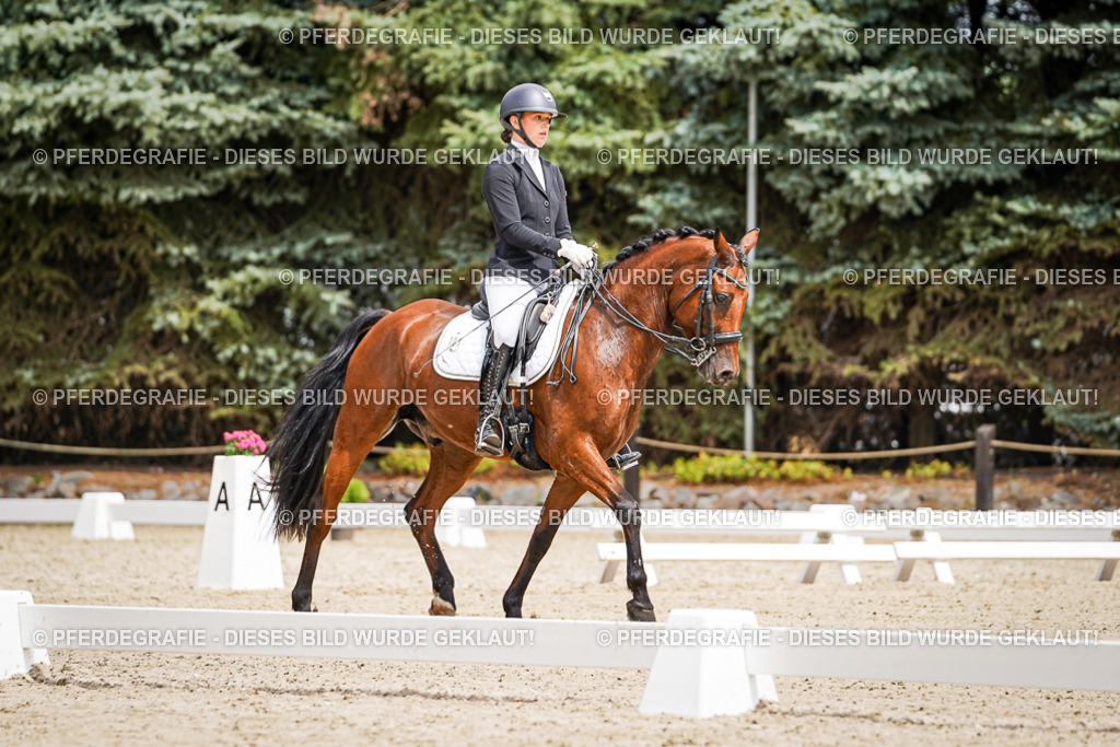 DSC03671 | Pferdegrafie