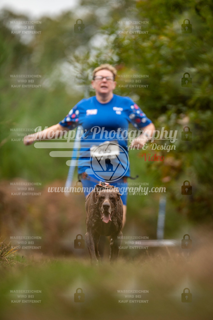 TSB_2023_E5_Canicross-138 | PayLife