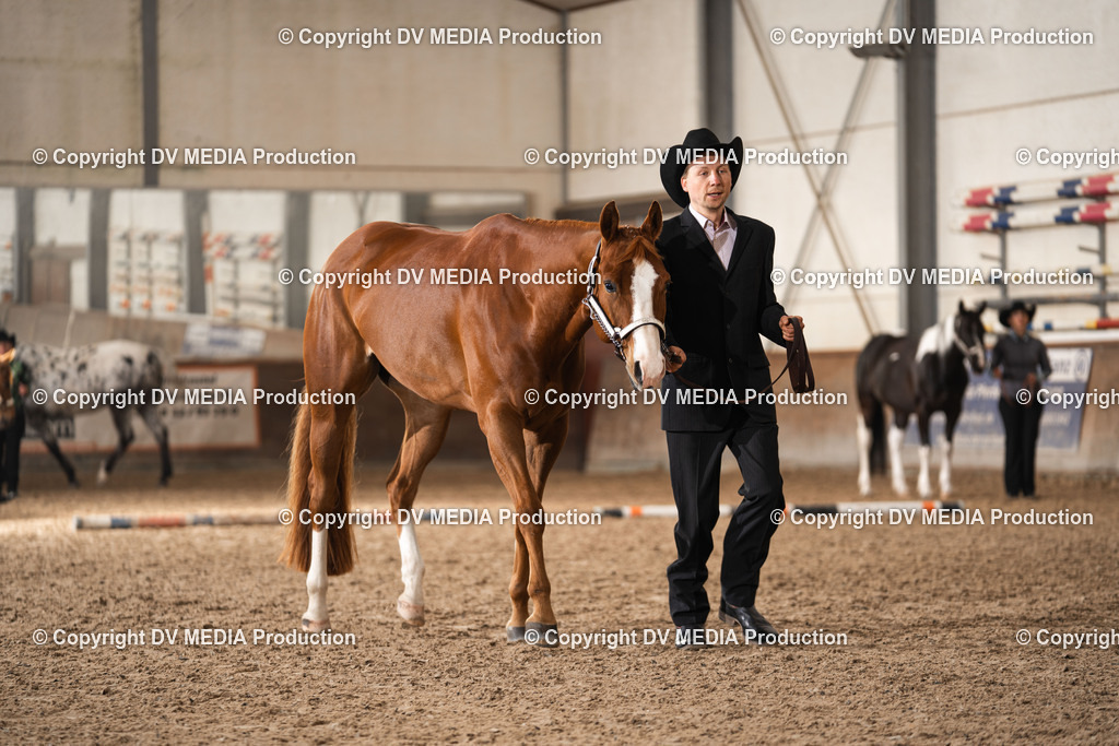 Heiligenwald Tag 2-227 | dv-media-shop - Realisiert mit Pictrs.com