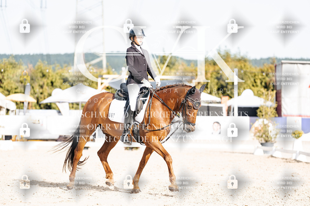 CK905128 | Turnierfotografie Pferdefotografie Trier Rheinland-Pfalz Pferdesport Reitsport Tierfotografie Sportfotografie Pferdevideo Pferdevideografie Equestrianvideography equestrianphotography  - Realisiert mit Pictrs.com