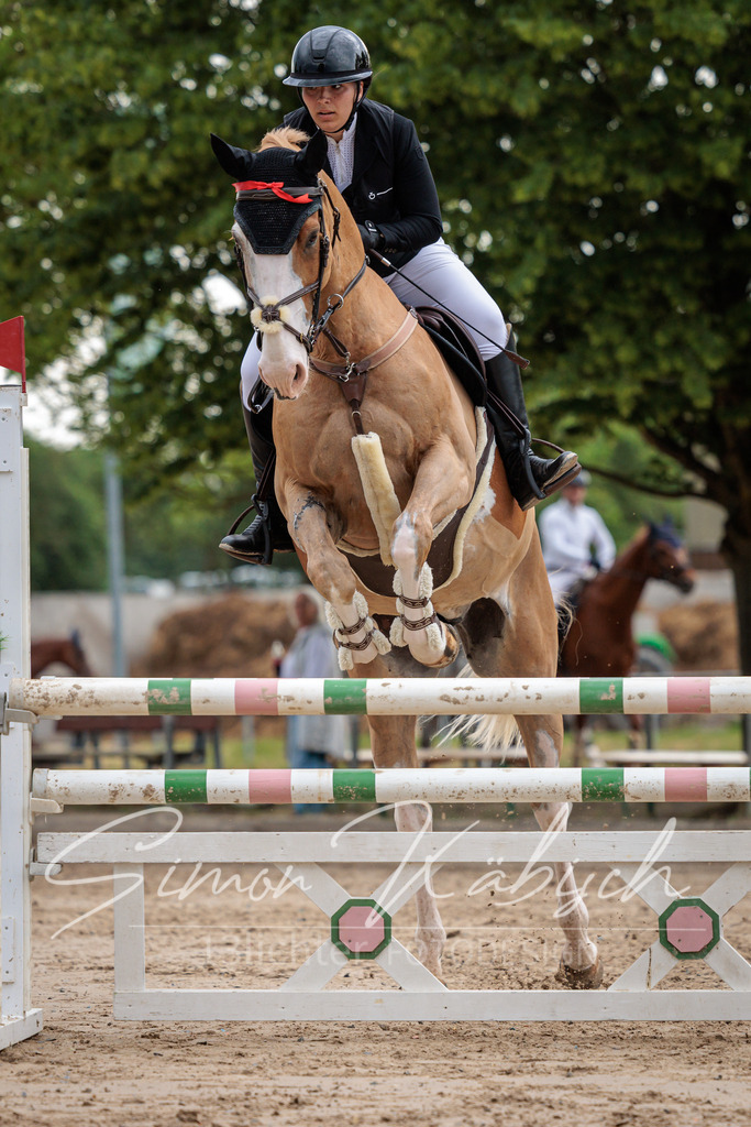 20260531-_3LI3401 | Tierfotografie Pferde, Hunde, Katzen, Haustiere.
Turnierfotografie Reitturniere, Reiten, Springreiten, Dressur in Hanau, dem Main-Kinzig-Kreis und dem Rhein-Main- Gebiet um Frankfurt