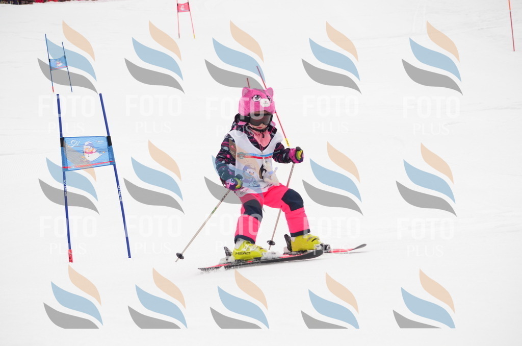 B9536 | holidayphoto