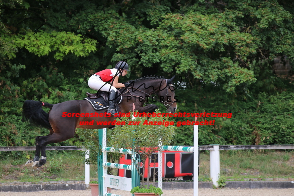 IMG_2224 | lmwpictures - Realisiert mit Pictrs.com