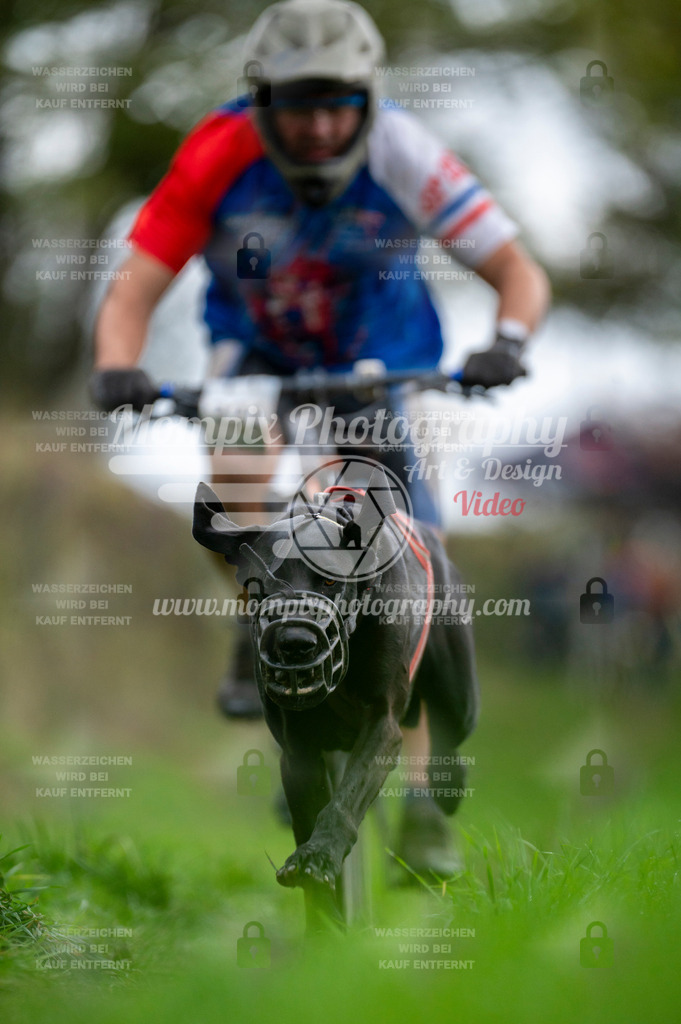 TSB_2023_E8_Bike-33 | PayLife