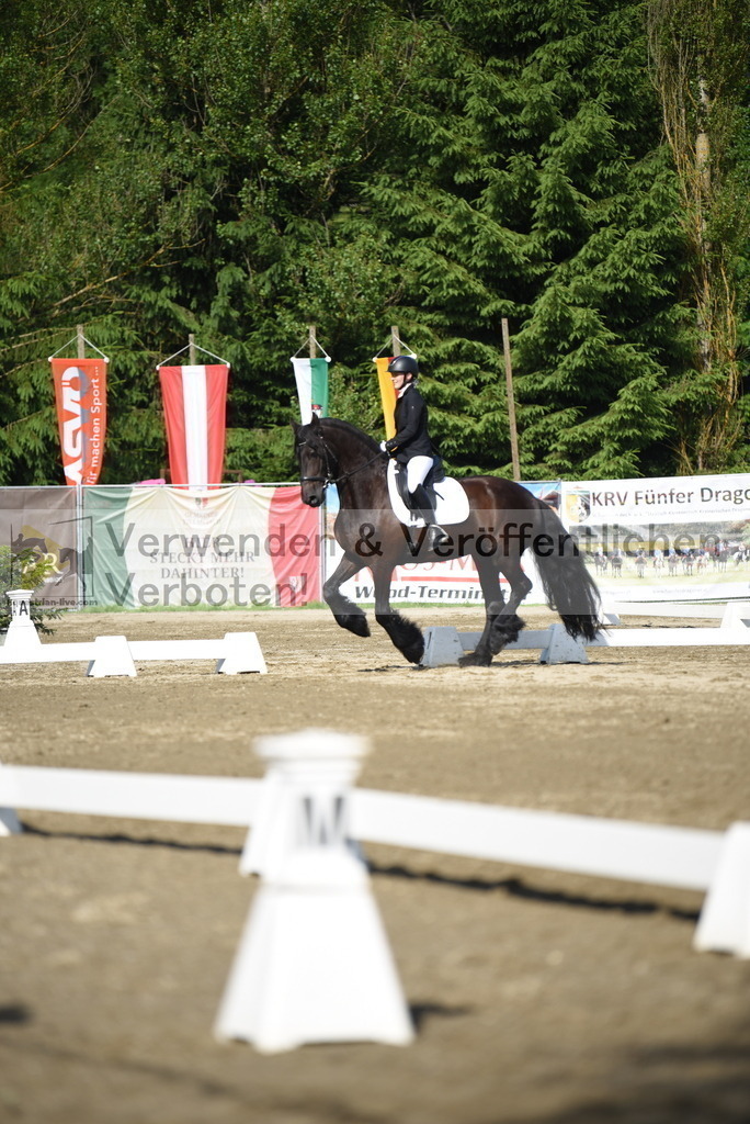 DSC_7580 | equestrian-live-com