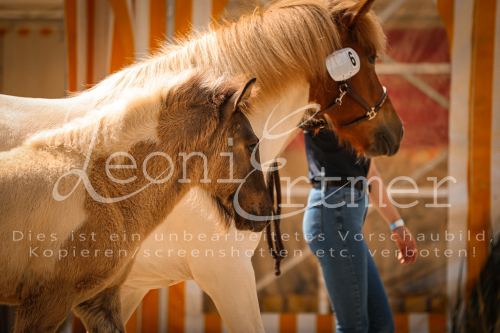 02.DoSR00005 | Leoni Ertmer Photography - Realisiert mit Pictrs.com