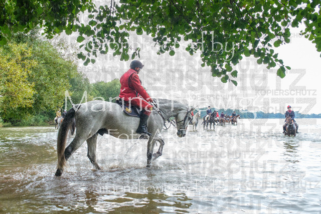 Jagd Perdoel_MarinaHewigDSCF3558 | Fotografie, FotoArt, PferdesportArt, Pferdesportfotografie, Landschaftsfotografie, Reisefotografie, Reise, Pferde - Realisiert mit Pictrs.com