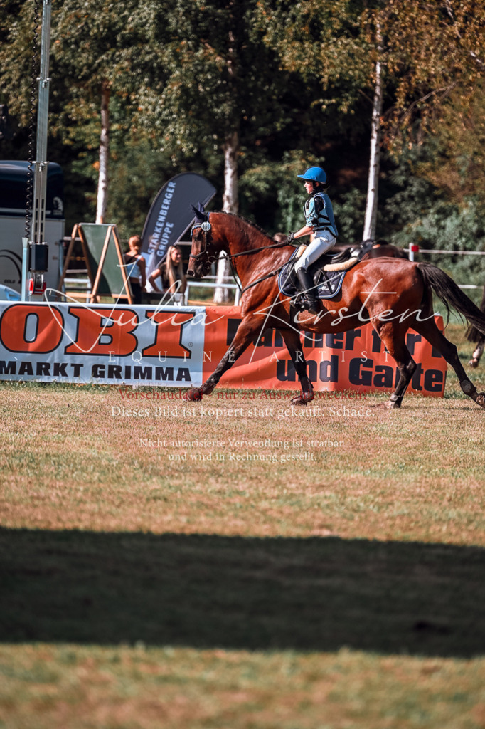 DSC_0807 | Pferde- und Turnierfotografie in Westsachsen. Pferdeportraits, Auftragszeichnungen und intuitive Kunst.