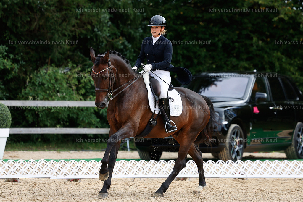 11-066-Dressur S___-StoibPH-1251 | working equitationturnier fotograf videograf stoibphotography marixx film working equitation deutschland reitsport turnierfotografie eventfotografie equestrian events