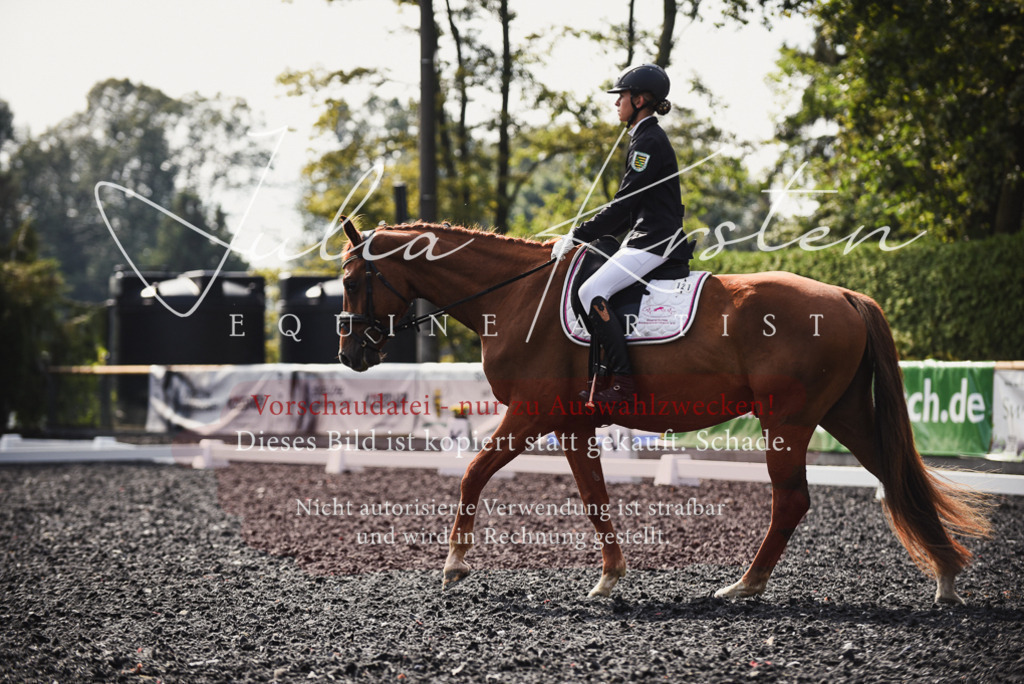 DSC_3593 | Pferde- und Turnierfotografie in Westsachsen. Pferdeportraits, Auftragszeichnungen und intuitive Kunst.