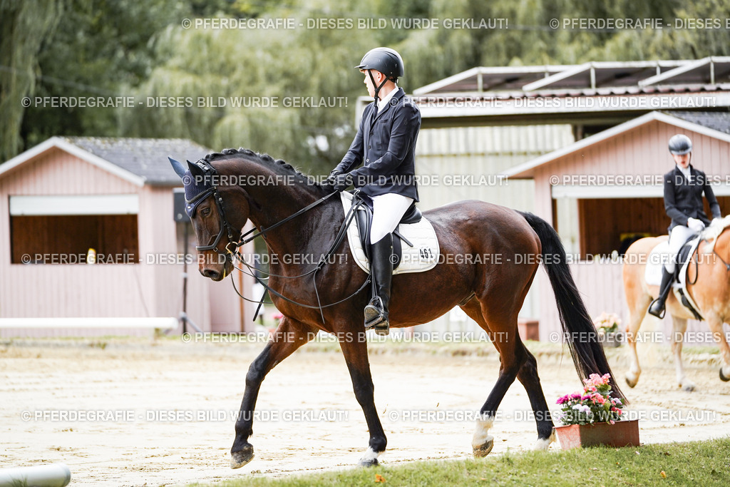 DSC04550 | Pferdegrafie