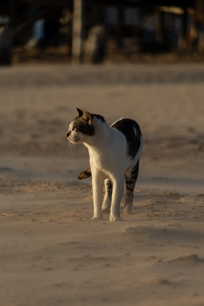 20251028-DeltaTour-0003 | paulependelt - Realisiert mit Pictrs.com