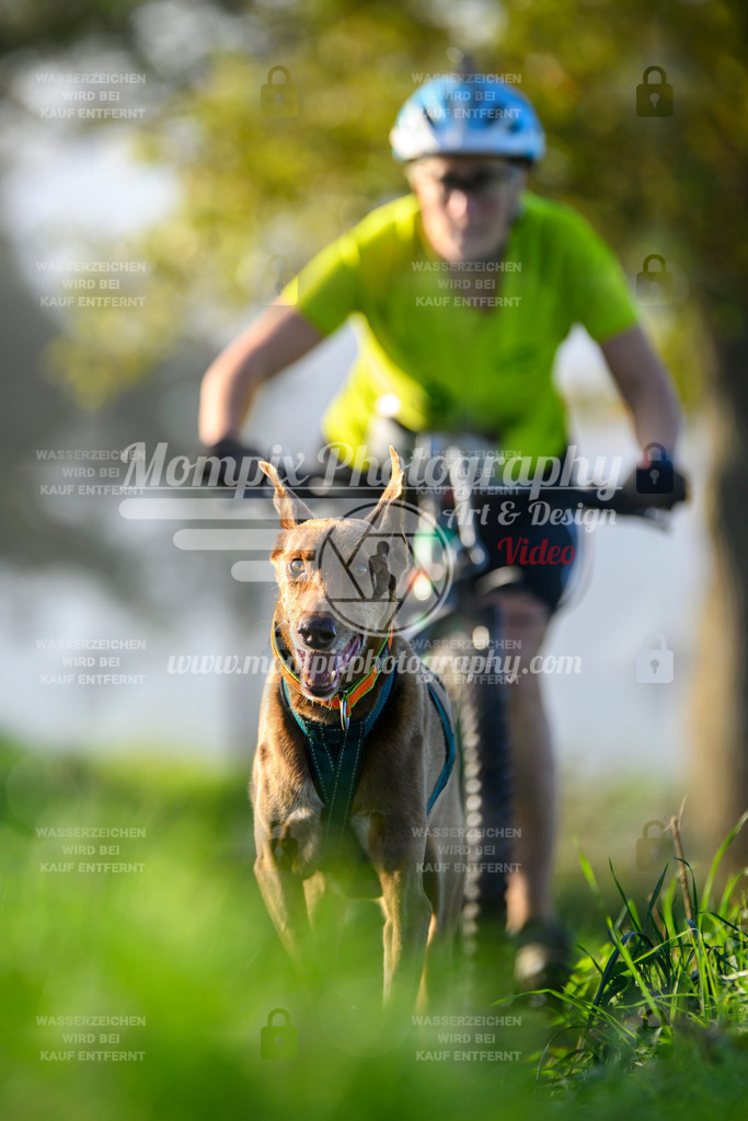 MompixPhotography_20TSB_E3_Bike-203 | PayLife