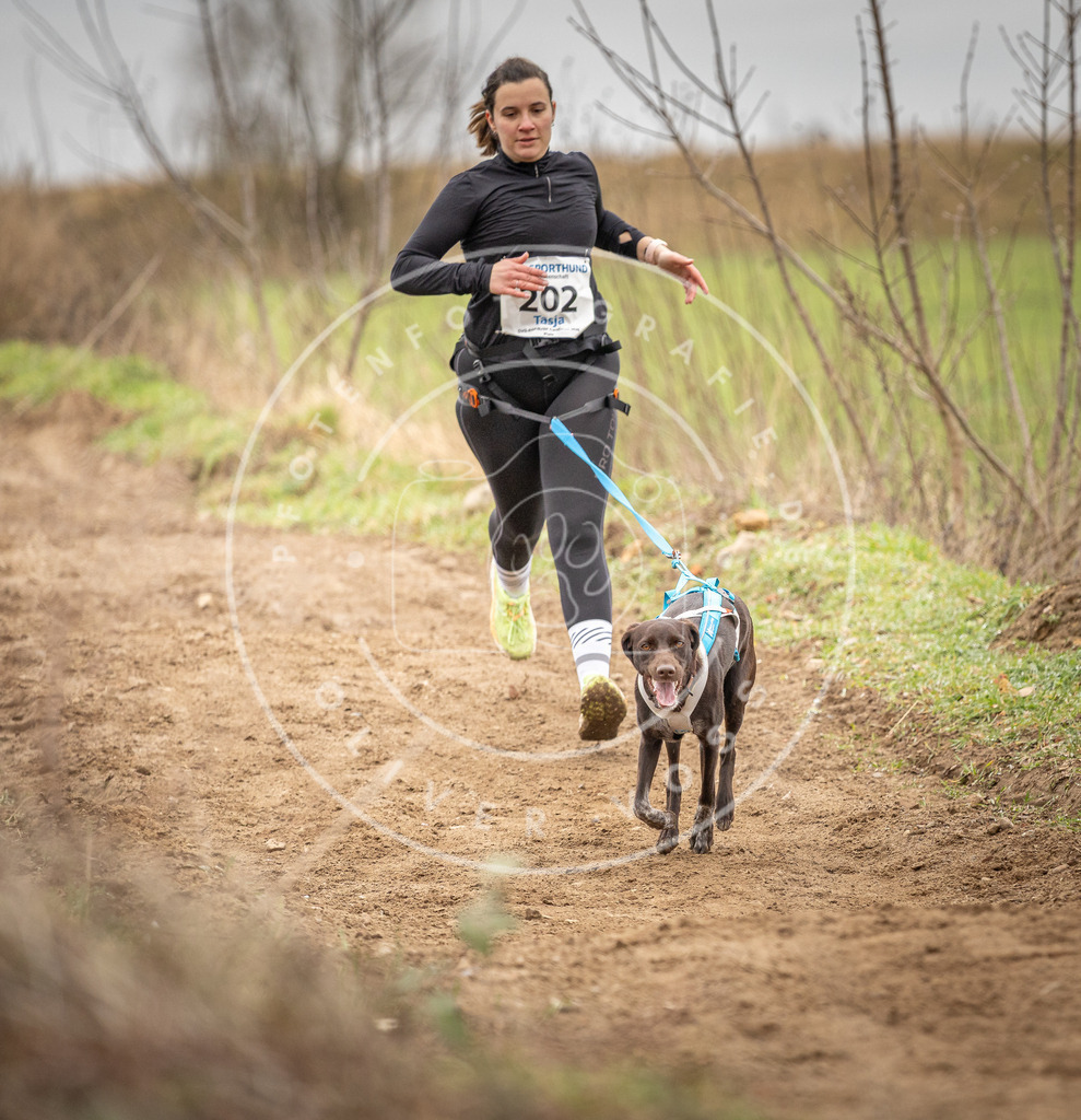 DV3A2502 | Hundefotografie, Tierfotograf, Pfotenfotografie, Fotoshooting Hund, Hunde Portrait, Hundesport, Hundeportraits, Heideshooting, Hunde, Sportfotograf, Hundefotograf, Turnierhundsport, THS,  - Realisiert mit Pictrs.com