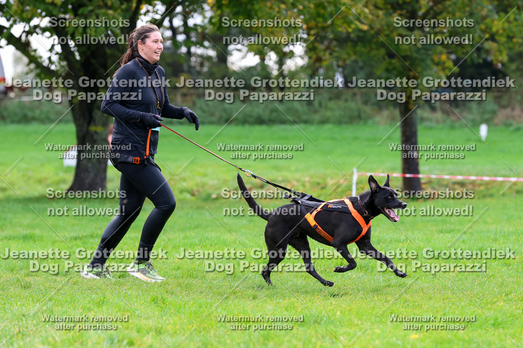 Dog Paparazzi -  SD1026-2191 | Dog Paparazzi Jeanette Grottendiek Fotografie & Videografie - Realisiert mit Pictrs.com