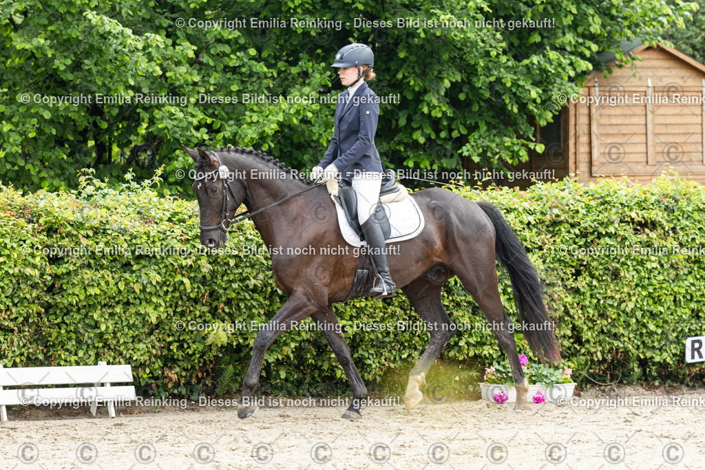 CL5A3157 | Emilia Reinking Fotografie - Realisiert mit Pictrs.com