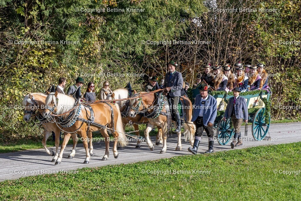 LBT24-583 | foto-bettina-krinner - Realisiert mit Pictrs.com
