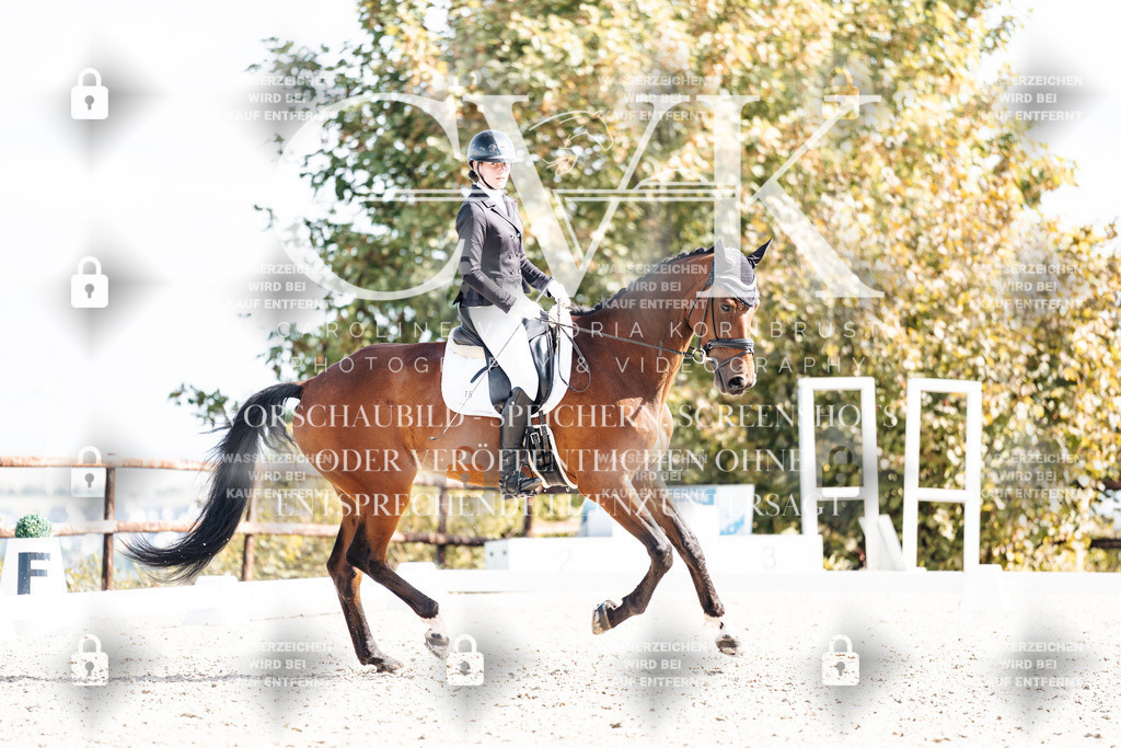 CK902397 | Turnierfotografie Pferdefotografie Trier Rheinland-Pfalz Pferdesport Reitsport Tierfotografie Sportfotografie Pferdevideo Pferdevideografie Equestrianvideography equestrianphotography  - Realisiert mit Pictrs.com