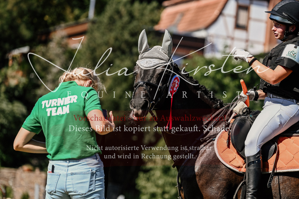 DSC_2613 | Pferde- und Turnierfotografie in Westsachsen. Pferdeportraits, Auftragszeichnungen und intuitive Kunst.