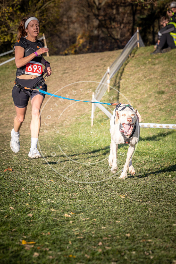 CaniXpix_0L8A9367 | Hundefotografie, Tierfotograf, Pfotenfotografie, Fotoshooting Hund, Hunde Portrait, Hundesport, Hundeportraits, Heideshooting, Hunde, Sportfotograf, Hundefotograf, Turnierhundsport, THS,  - Realisiert mit Pictrs.com