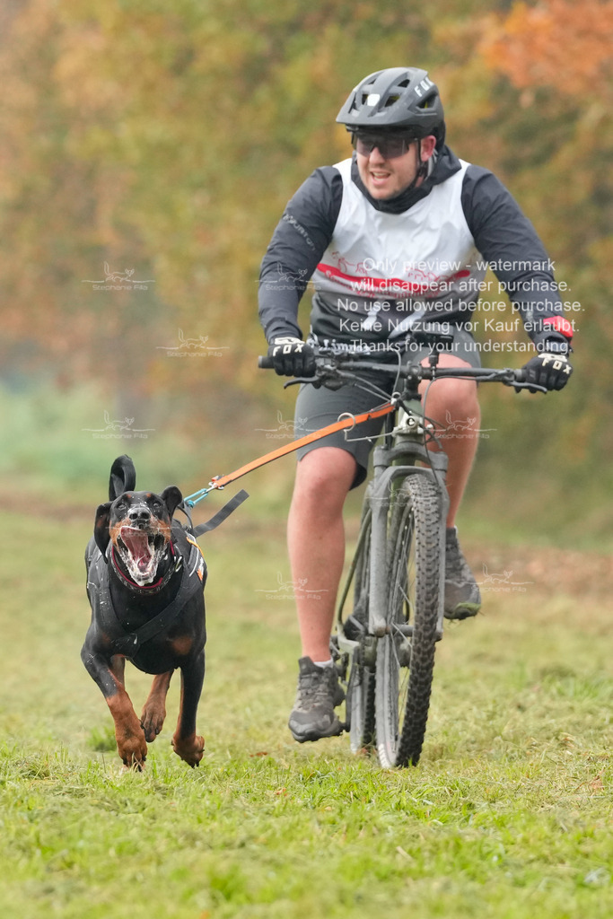 AusschnitteSa-129 | stephaniefillaphotographie - Realisiert mit Pictrs.com