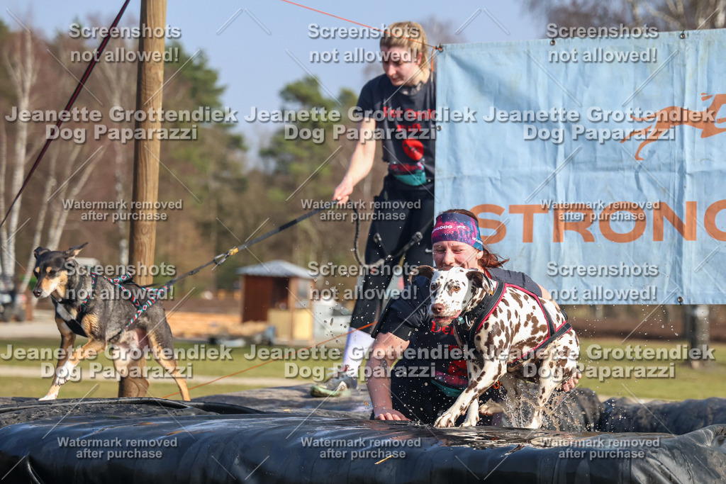 Dog Paparazzi - Strongdog North Mrz26-2621 | Dog Paparazzi Jeanette Grottendiek Fotografie & Videografie - Realisiert mit Pictrs.com