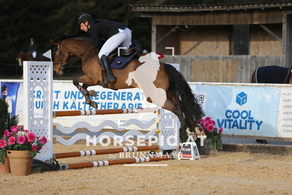 DL2Q8028 | Willkommen bei Brunnmayr - Design & Fotografie – Ihrem Spezialisten für Reitturniere und Pferdeveranstaltungen in Oberösterreich, Salzburg und Bayern! Seit über 17 Jahren sind wir leidenschaftlich dabei.