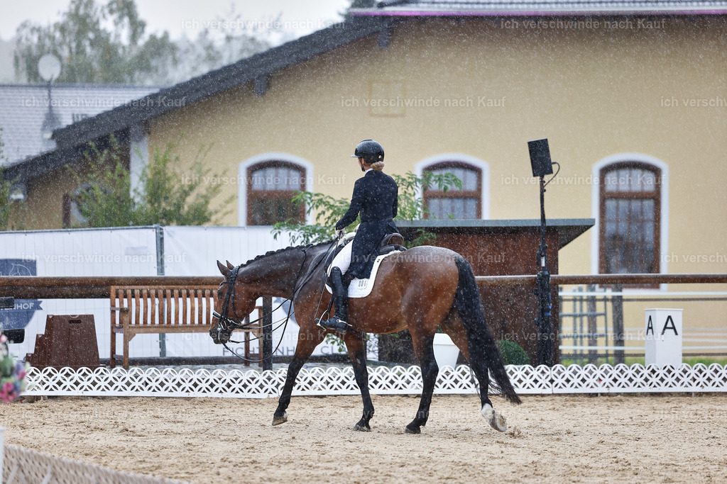 8_1-001-Klasse S_  -StoibPH-3980 | working equitationturnier fotograf videograf stoibphotography marixx film working equitation deutschland reitsport turnierfotografie eventfotografie equestrian events