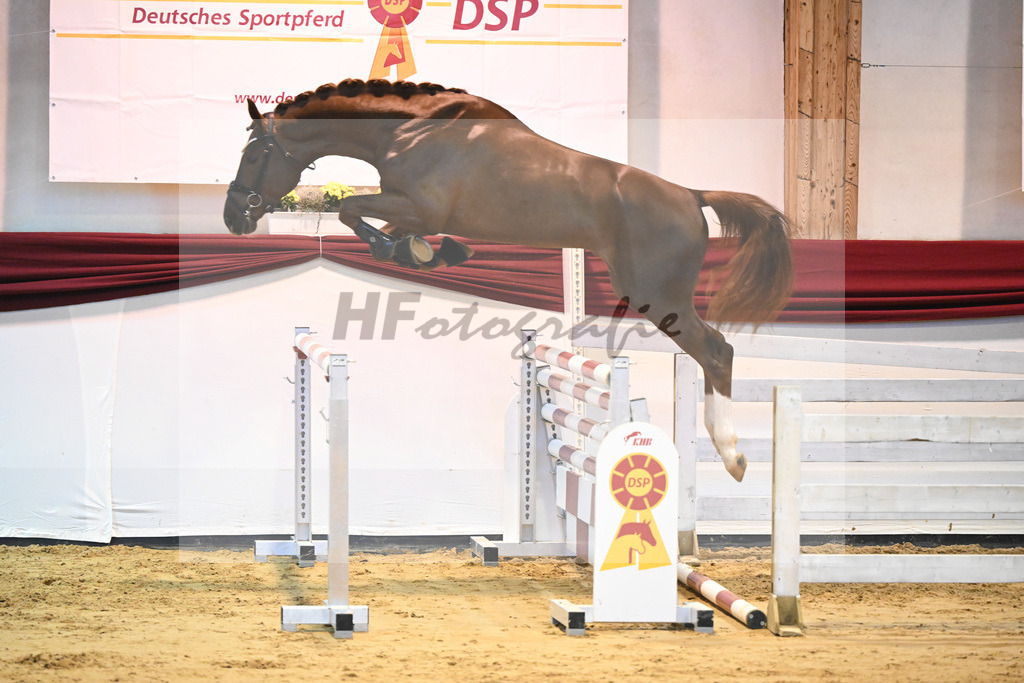 Kat-Nr. 44 v. Panenka de Kalvarie_Wilbers_66221175 | hf-fotografie - Realisiert mit Pictrs.com